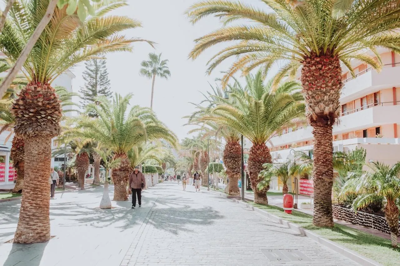 Bubu Beach 1-A Los Cristianos  Los Cristianos (Tenerife)